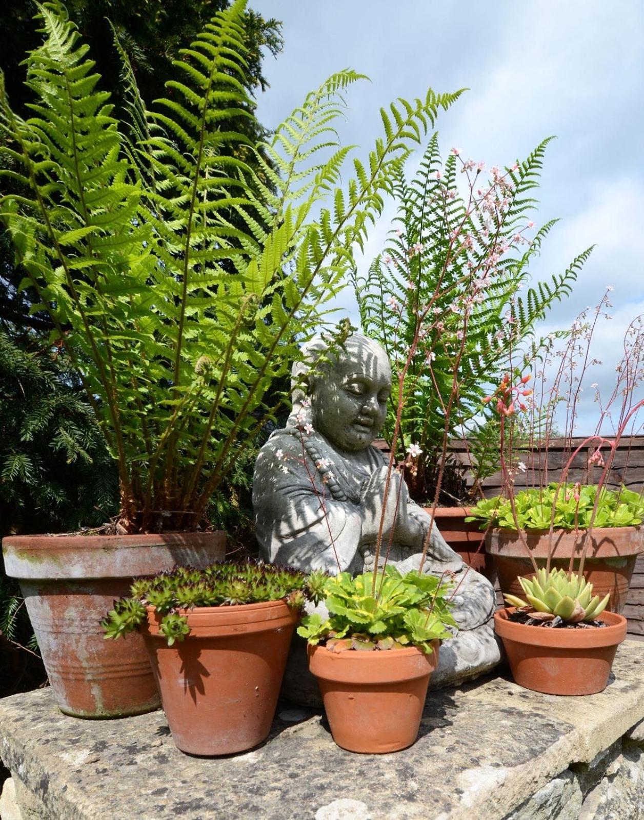 فيلا Yew Tree House وودستوك المظهر الخارجي الصورة